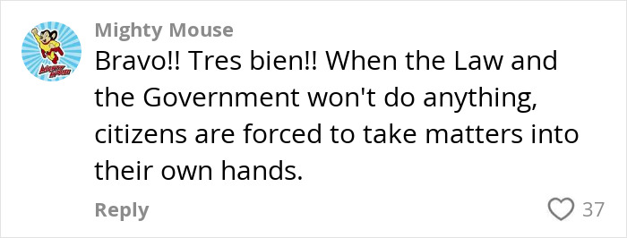 Comment from Mighty Mouse praising a farmer spraying squatters with manure, highlighting citizen action and government inaction. Comment from Mighty Mouse praising a farmer spraying squatters with manure, highlighting citizen action and government inaction.