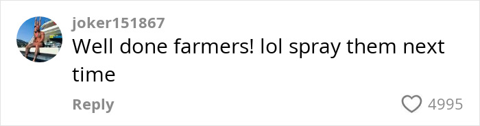 Comment on social media praising farmers and suggesting spraying squatters with manure, with 4995 likes. Comment on social media praising farmers and suggesting spraying squatters with manure, with 4995 likes.