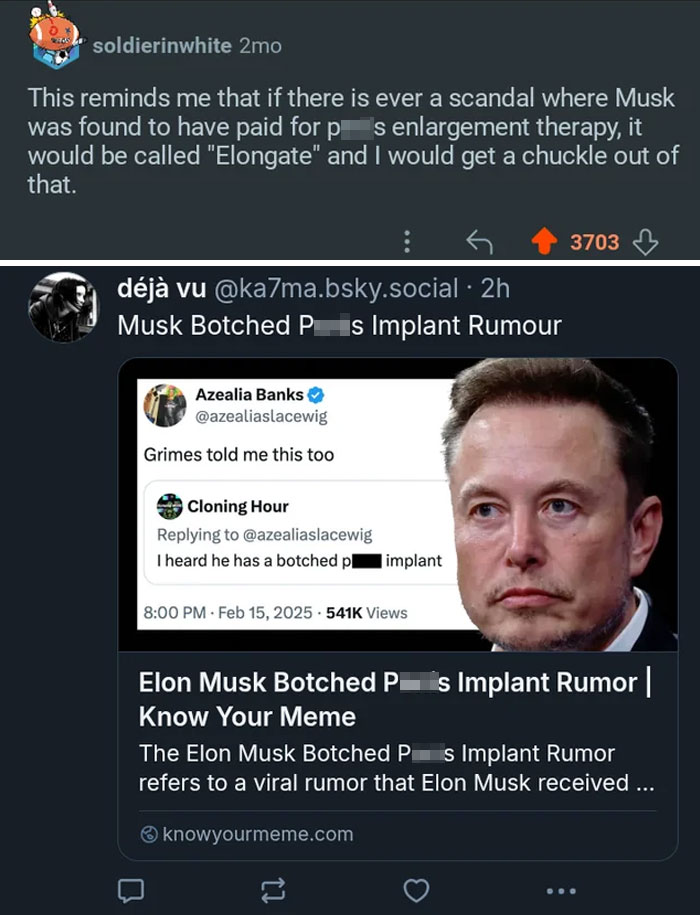 Screenshot of social media posts discussing Elon Musk rumors, illustrating aged like wine predictions with viral accuracy.