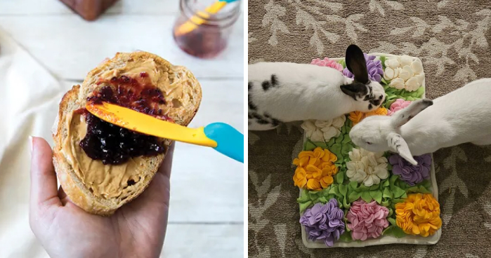 25 Things For People Who Are Adults But Also Refuse To Be Boring