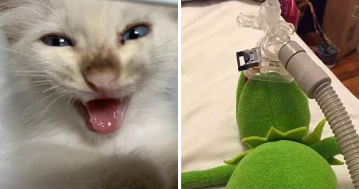 Readers’ Vote: 69 Dirty Jokes For Adults, You Decide What’s Too Much