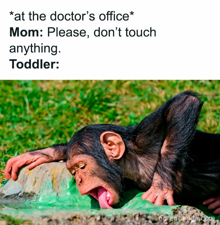 Funny parenting meme showing a toddler behavior humor with a monkey licking water, illustrating things no parenting book can teach.