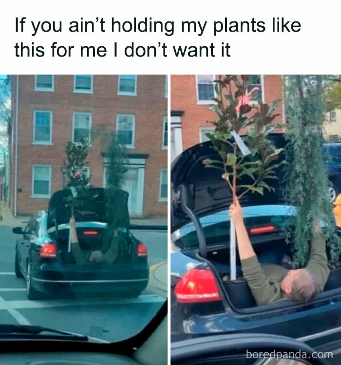 Person lying in a car trunk holding plants, illustrating funny parenting moments and unexpected life lessons.