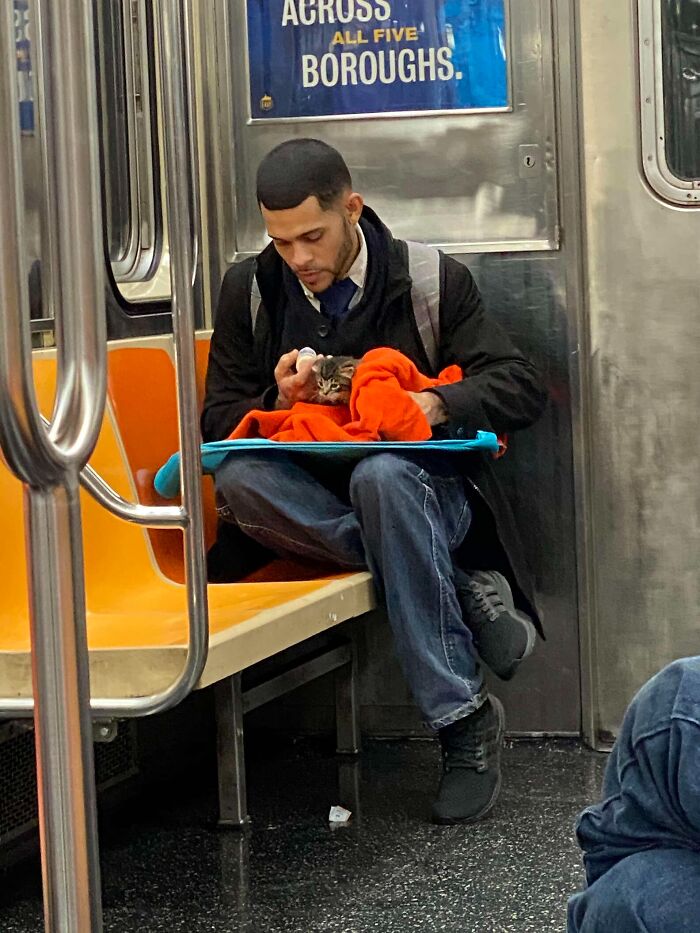 Man feeding kitten wrapped in a blanket while sitting on a subway train bench during a commute. Man feeding kitten wrapped in a blanket while sitting on a subway train bench during a commute.