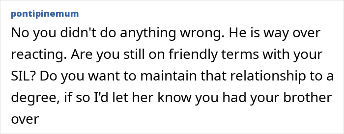 Comment discussing brother swapping wife and kids for a new flame and overreacting at sister’s BBQ photos. Comment discussing brother swapping wife and kids for a new flame and overreacting at sister’s BBQ photos.