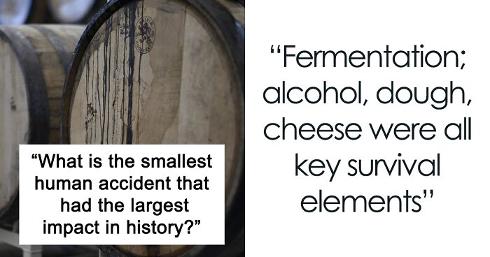Wine barrels with fermentation stains paired with a quote about fermentation as a key survival element in world history.