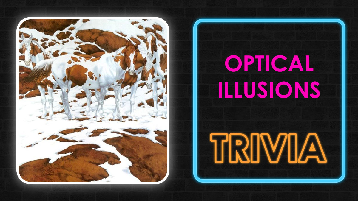 Optical illusions showing camouflaged horses blending with snow and rocks in a viral visual challenge trivia.