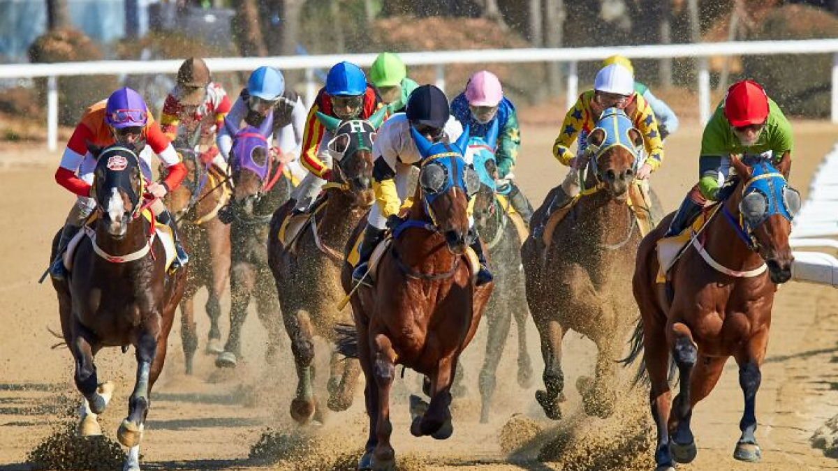Jockeys racing horses on dirt track kicking up dust, illustrating strange money-making hacks in competitive betting.