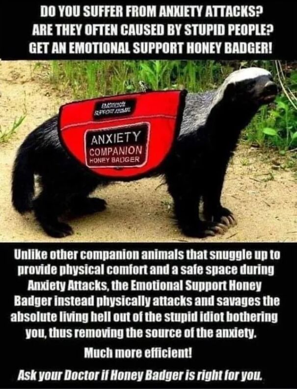 support-badger-68ae5d38518fd.jpg