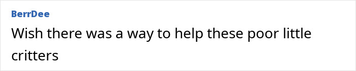 "First Rabbits, Now The Squirrels?": 'Zombie Squirrels' With Oozing Flesh Terrify US Homeowners "First Rabbits, Now The Squirrels?": 'Zombie Squirrels' With Oozing Flesh Terrify US Homeowners