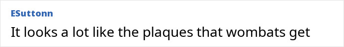 "First Rabbits, Now The Squirrels?": 'Zombie Squirrels' With Oozing Flesh Terrify US Homeowners "First Rabbits, Now The Squirrels?": 'Zombie Squirrels' With Oozing Flesh Terrify US Homeowners