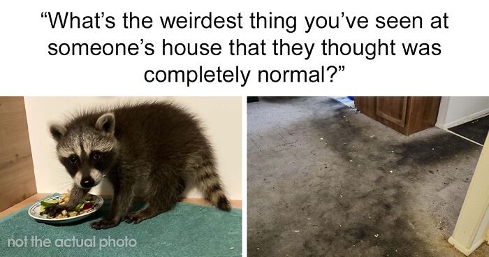 Raccoon indoors eating food and a heavily stained carpet, examples of home visits that seemed unusual to visitors.