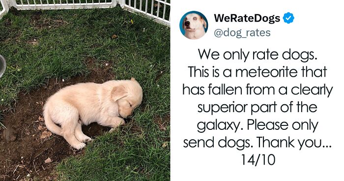 50 Uplifting And Wholesome Posts That Are As Close As It Gets To Anti-Depressants