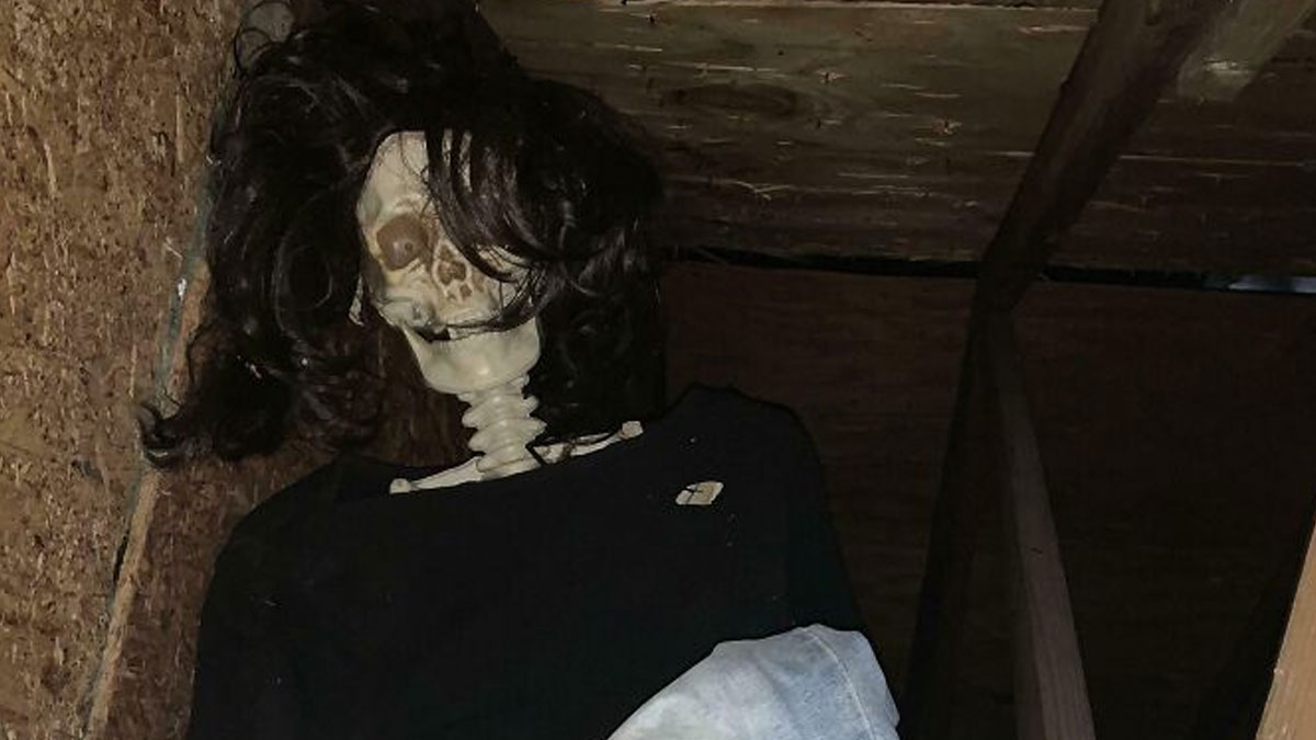 Skeleton with black wig and casual clothes in a dark attic, showcasing a witty Halloween decoration scene.