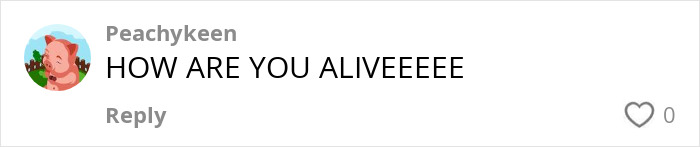 User comment by Peachykeen with text HOW ARE YOU ALIVEEEEEE in a social media thread. User comment by Peachykeen with text HOW ARE YOU ALIVEEEEEE in a social media thread.