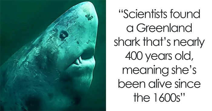 “A Legal Service Where You Pay To Completely Disappear Without A Trace”: 50 Interesting Facts (New Pics)