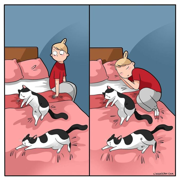 Cat owner watching a cat stretching on a bed, then lying down next to the cat in a cozy bedroom comic panel.
