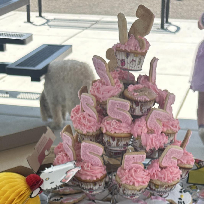 Cupcakes with pink frosting and number five decorations at a daughter’s birthday party, highlighting parents who didn’t show up. Cupcakes with pink frosting and number five decorations at a daughter’s birthday party, highlighting parents who didn’t show up.