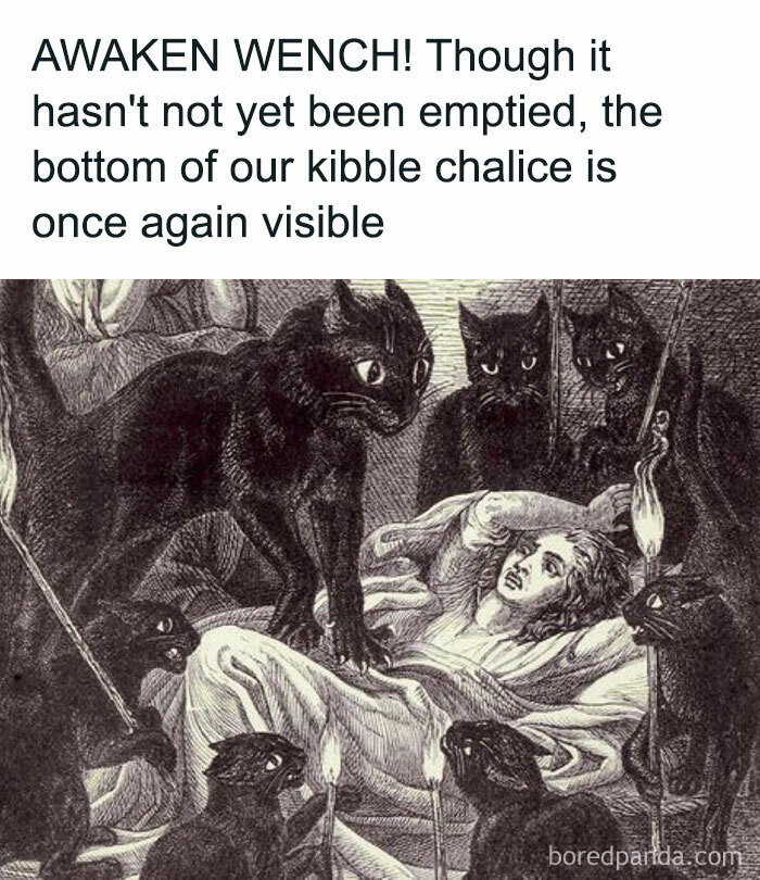 Medieval cats surrounding a frightened person in a historic black and white illustration showing human obsession with cats.