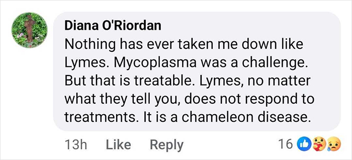 Comment by Diana O'Riordan discussing challenges of Lyme disease and its resistance to treatments as a chameleon disease. Comment by Diana O'Riordan discussing challenges of Lyme disease and its resistance to treatments as a chameleon disease.