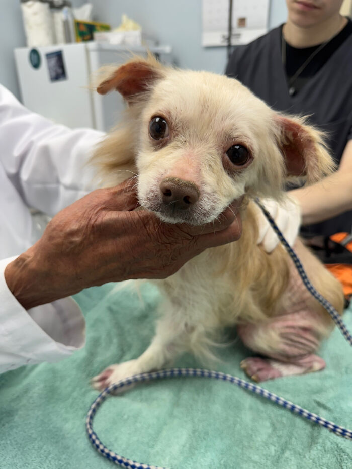 King’s Story: A Lifetime Of Neglect, Now A Fight For Healing King’s Story: A Lifetime Of Neglect, Now A Fight For Healing