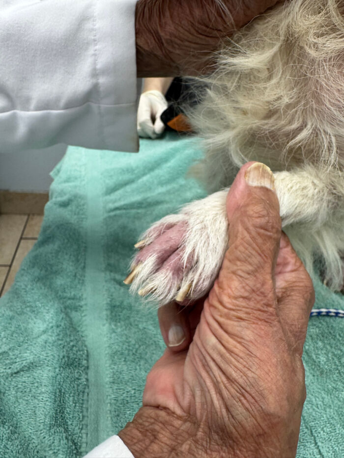 King’s Story: A Lifetime Of Neglect, Now A Fight For Healing King’s Story: A Lifetime Of Neglect, Now A Fight For Healing