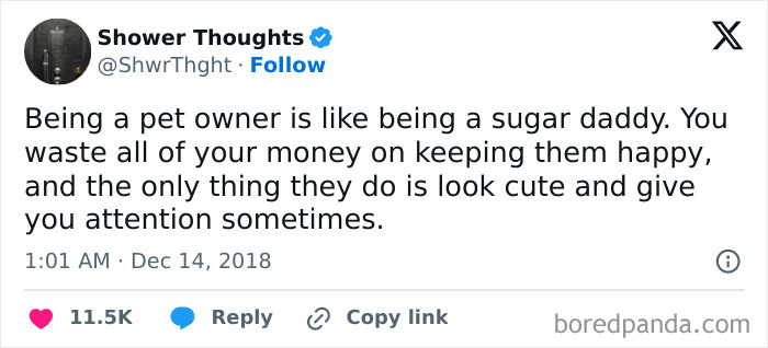 Tweet from Shower Thoughts humorously comparing pet ownership to being a sugar daddy, related to men humor memes.