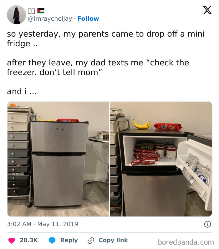 Mini fridge delivered by funny parents with hidden treats inside freezer, showcasing hilarious parenting moments and surprises.