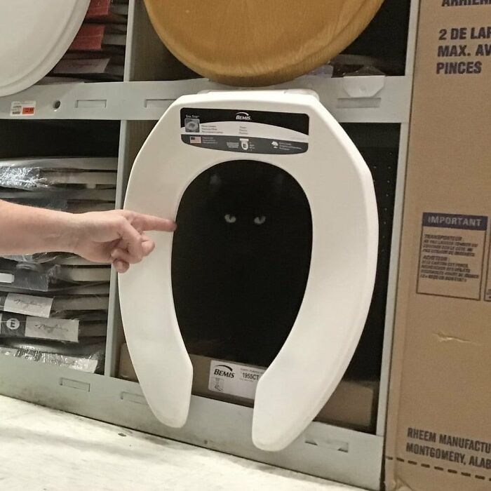 Black cat with glowing eyes peeking through a white toilet seat, showcasing adorable cats in unexpected places.