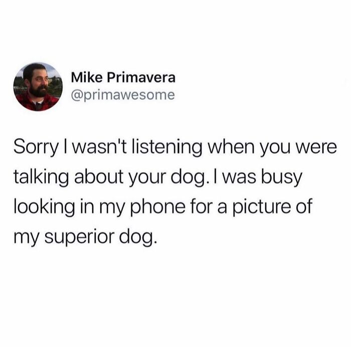 Funny tweet where someone hilariously spoke their truth about being distracted by their superior dog photo on phone.