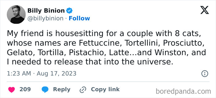 Tweet by Billy Binion humorously listing eight cats' food-inspired names, a cute cat memes example about cat naming.