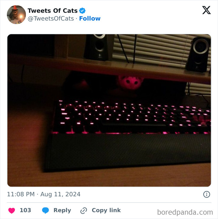Black cat with glowing pink eyes peeks from under desk near illuminated keyboard in quirky cat meme scene.