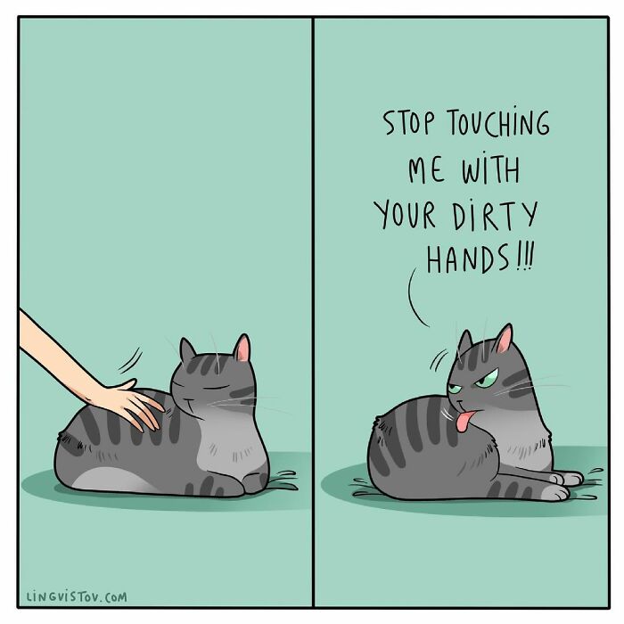 Cat owner comic panel showing a gray tabby cat reacting humorously to being touched by dirty hands.