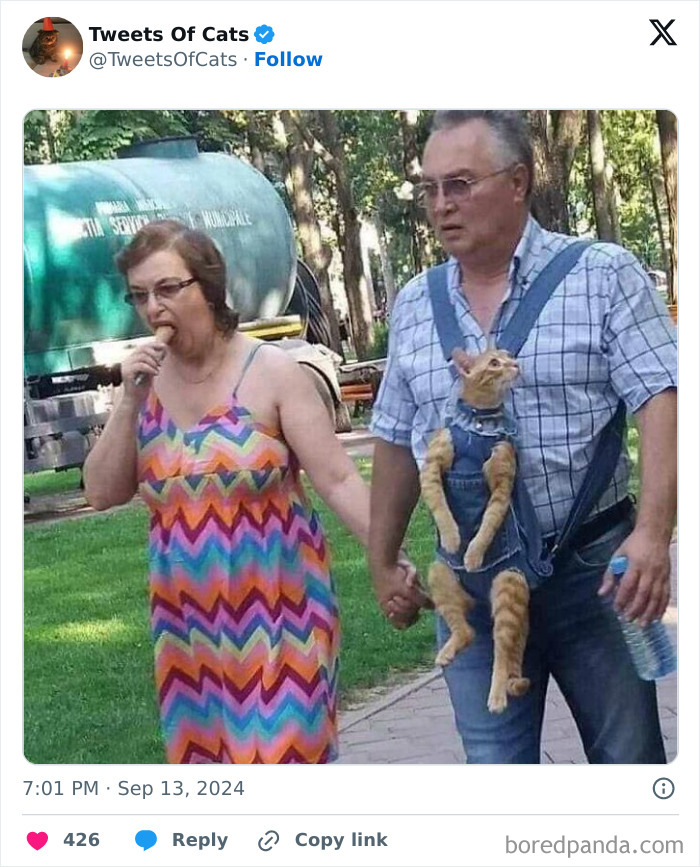 Man carrying cat in denim overalls while holding hands with woman eating ice cream in a park, quirky cat memes.