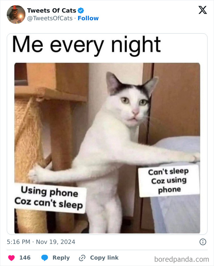 Cat meme showing a white cat stretched between a scratching post and bed, humorously stuck in a phone-sleep loop.