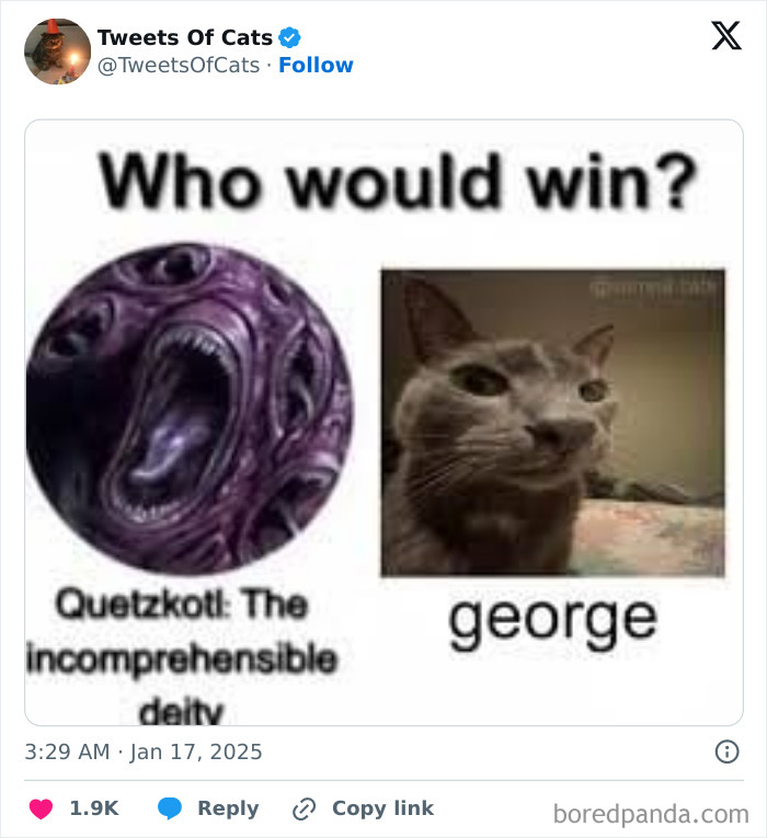 Tweet showing a quirky cat meme comparing a strange creature and a cat named George, highlighting cats as delightfully odd creatures.