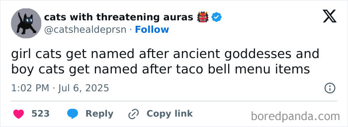 Tweet about girl cats named after ancient goddesses and boy cats named after Taco Bell menu items, featuring cute cat memes.