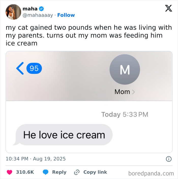 Screenshot of a funny text from a mom admitting she fed ice cream to the cat, showcasing funny parents humor.