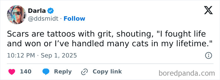 Screenshot of a funny tweet about scars and cats, part of the funniest tweets of September collection.