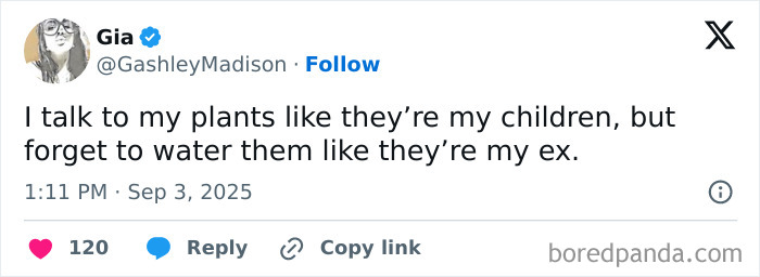 Screenshot of a humorous parenting post on social media comparing talking to plants like children but forgetting to water them.