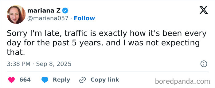 A humorous parenting post about daily traffic delays, featuring a tweet by mariana Z on social media.