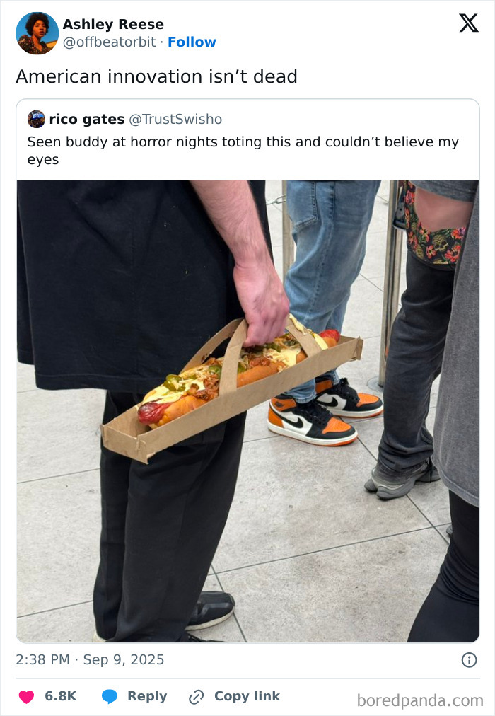 Person holding a large hot dog with a cardboard carrier, featured in funniest tweets of September that made people laugh.