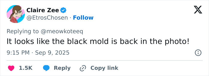 Screenshot of a social media reply discussing black mold, related to J.K. Rowling team’s reaction to viral cancer rumor. Screenshot of a social media reply discussing black mold, related to J.K. Rowling team’s reaction to viral cancer rumor.