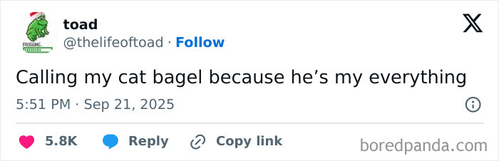 Screenshot of a funny tweet about calling a cat bagel, part of the funniest tweets of September collection.