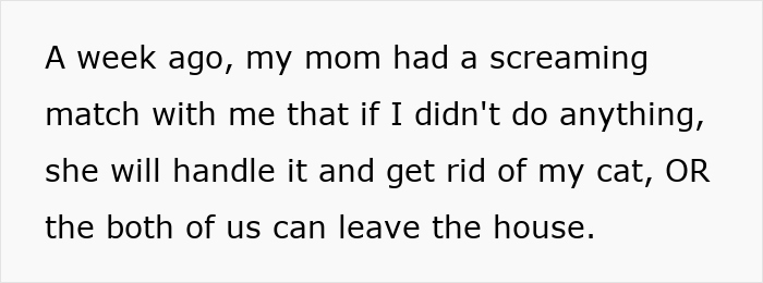 Text excerpt describing parents threatening to get rid of daughter’s cat causing tension during pregnant sister’s visit. Text excerpt describing parents threatening to get rid of daughter’s cat causing tension during pregnant sister’s visit.