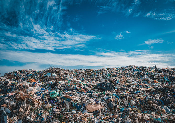 "What's A 2025 Trend You Cannot Comprehend?": 46 Current Trends That Make Zero Sense To Older Generations