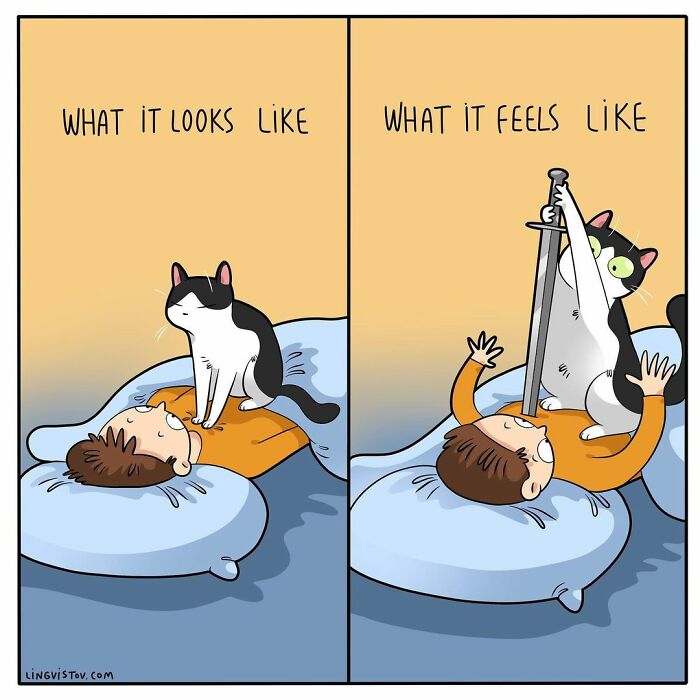 Comic showing a cat sitting on a person’s chest as relaxing, but feeling like the cat is stabbing them with a sword.