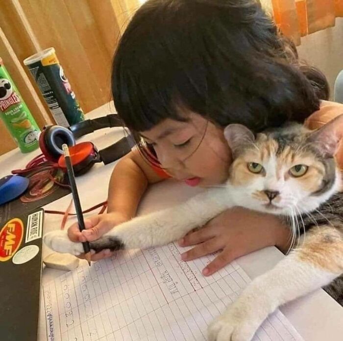 Child hugging an adorable cat while writing, showcasing top-tier work and the charm of lovable cats.
