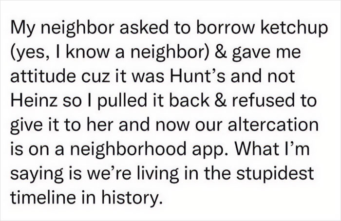 Text post describing an unbearable neighbor dispute over borrowing ketchup causing a neighborhood app argument.