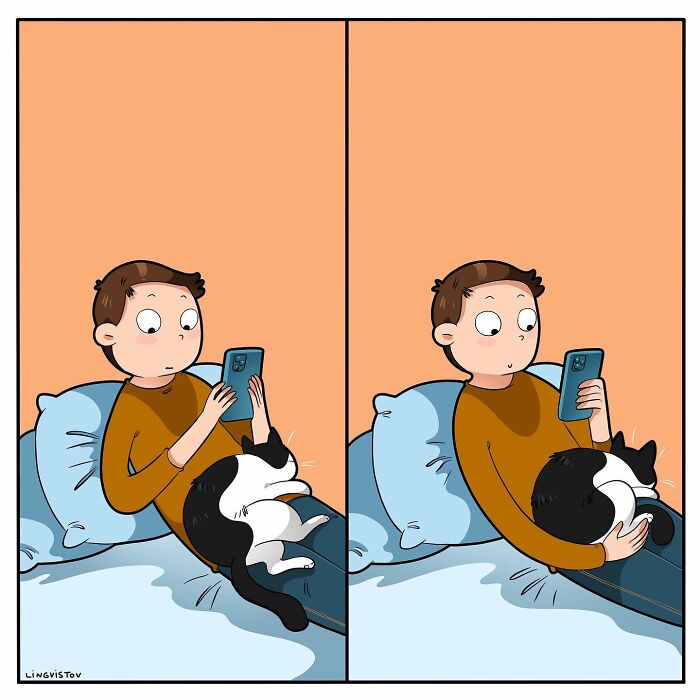 Comic showing a cat owner using a phone while a black and white cat changes positions on their lap on a bed.